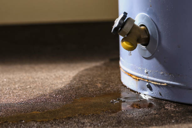 Best Flood restoration services  in Brandywine Bay, NC