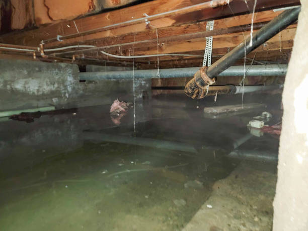 Best 24-hour water damage restoration  in Brandywine Bay, NC