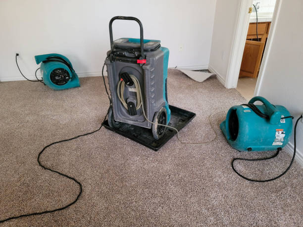 Best Professional water damage repair  in Brandywine Bay, NC