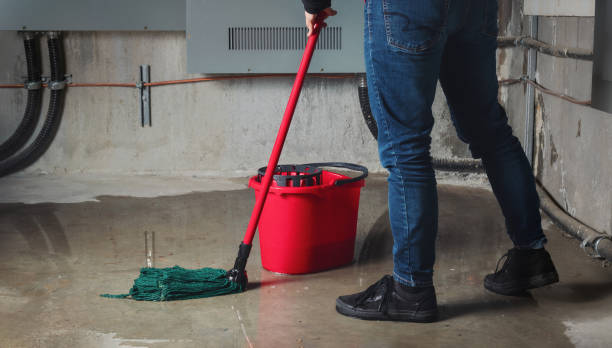 Best Residential water damage restoration  in Brandywine Bay, NC