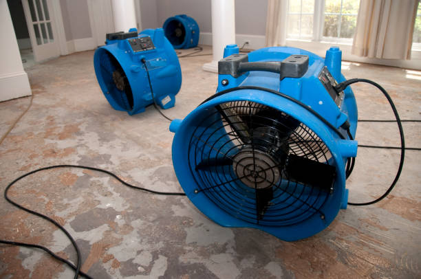 Best Water damage contractors near me  in Brandywine Bay, NC
