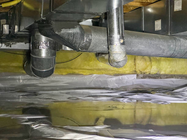 Best Water damage cleanup near me  in Brandywine Bay, NC